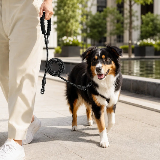 Petiqua Reflektörlü Köpek Tasması