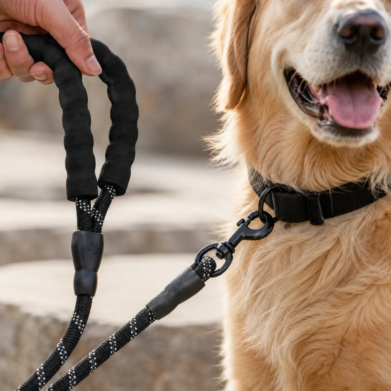Petiqua Reflektörlü Köpek Tasması