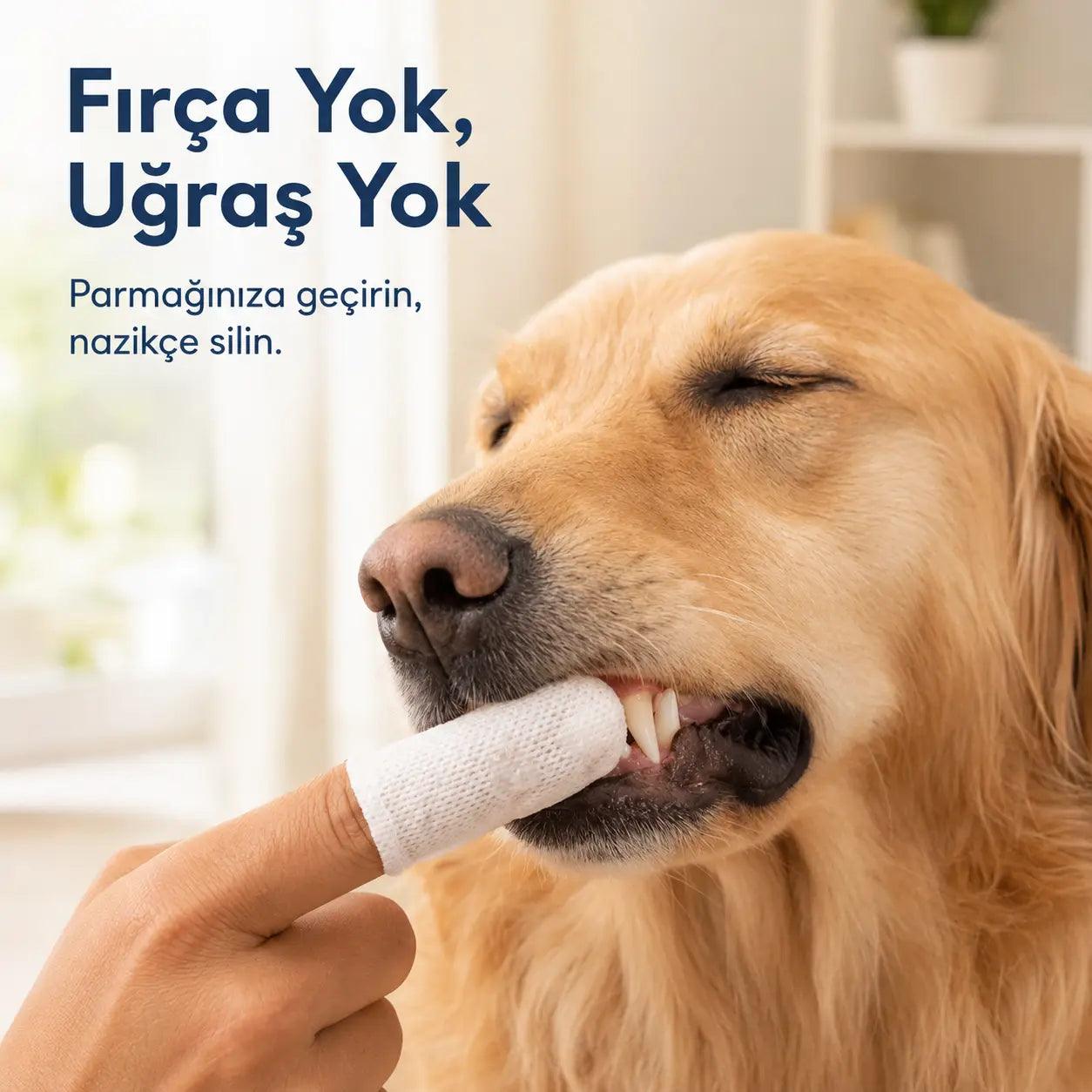 Petiqua Ağız ve Diş Bakım Mendili