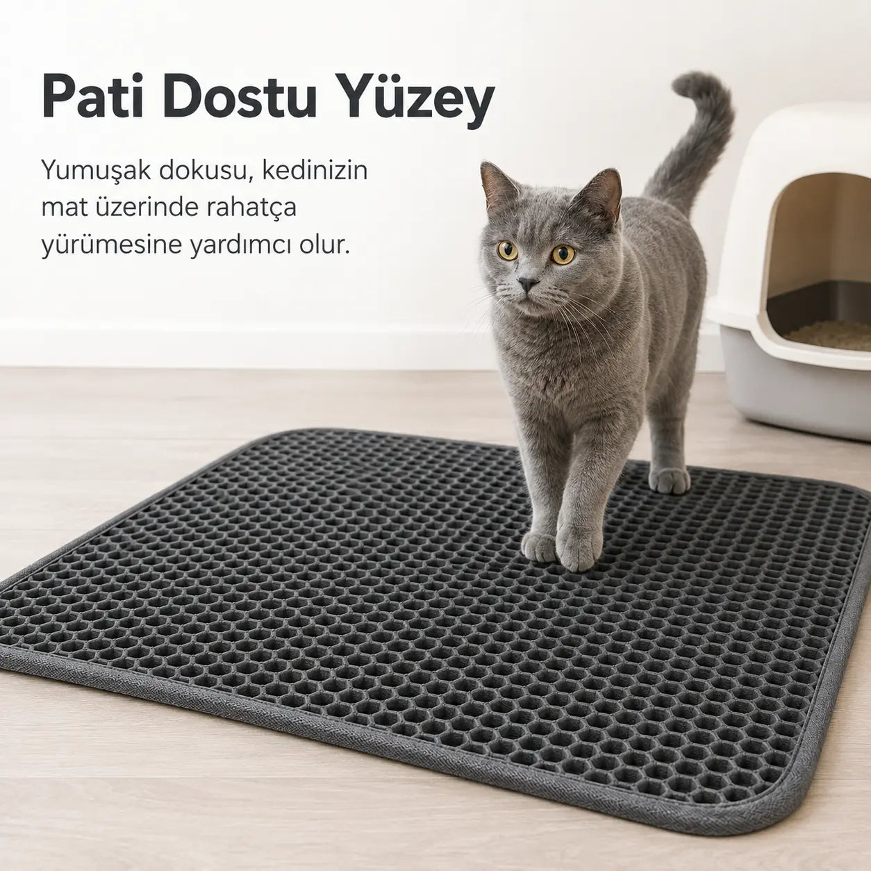 Kedi Tuvalet Önü Kum Paspası (Elekli)
